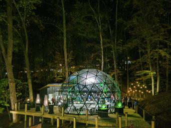 ReTreet Resort