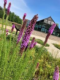 Wappapello Lake Greenhouse