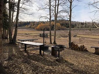 Picnic area with view of the meadow in the background