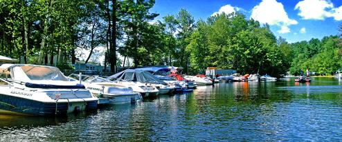 Docked boats