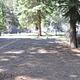 Aspen Glade site 20