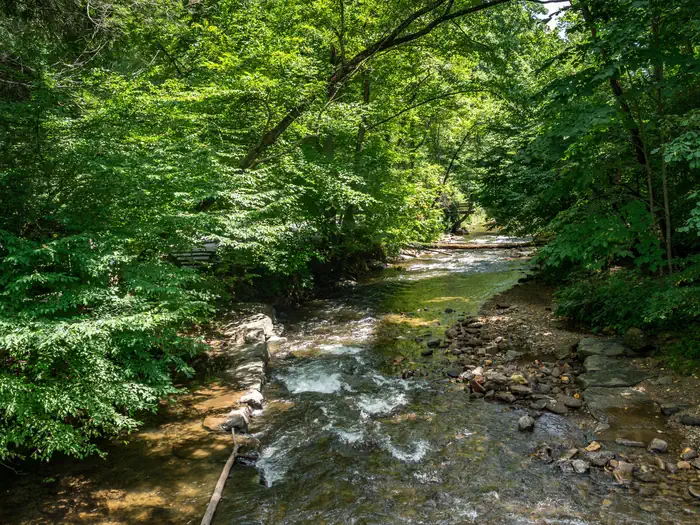 North Mills River