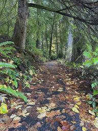Loon Lake Recreation Site