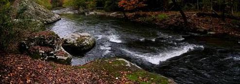FLATWOODS GROUP PICNIC AREA