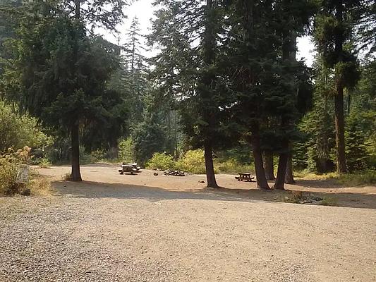 001, Loop: AREA PINE NEEDLE GROUP SITE