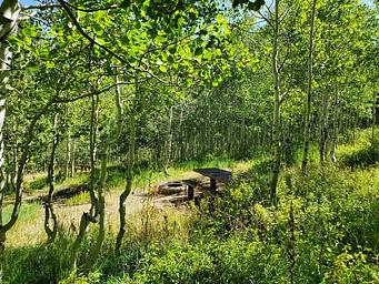Gooseberry Group Campground Site #6a