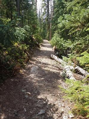 GS1, Loop: SOUTH FORK GROUP