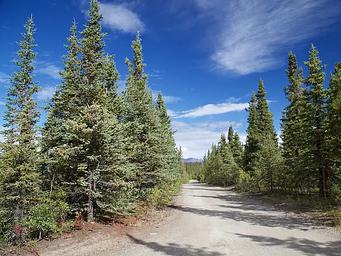 Brushkana Creek Campground Access Road