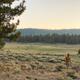 Campspot slideshow image 5