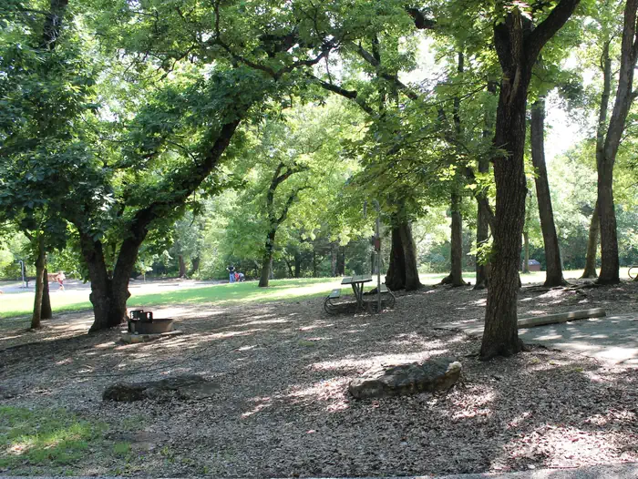 Central Group Camp (Chickasaw)