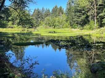 John Neal Memorial County Park