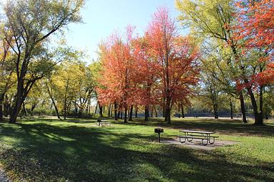 Cottonwood Picnic Area