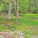 Creek by Campsites