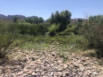 Larry Forbis Overnight Group Site