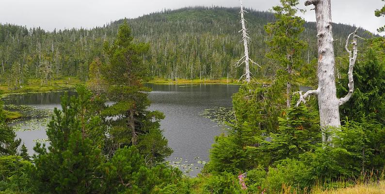 Middle Ridge Cabin, Loop: MIDDLE RIDGE CABIN