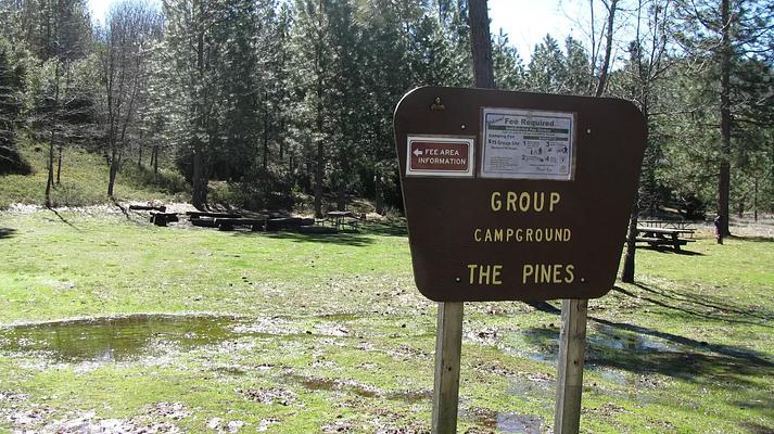 PGS, Loop: AREA PINES GROUP/STANISLAUS