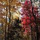Cross Creek RV Park
