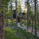 Glass tree house home in the woods.
