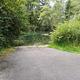 Paved boat ramp flanked by shrubs at the shore of a still, green waterway.