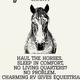 Gray Horse Shanty - Sleep Well, Ride More