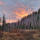 Pike's Fork Meadow Sunset_edited.jpg