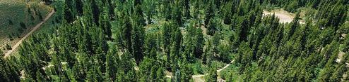 Pine Valley North Wasatch Cach