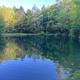 Scenic pond view with tree-lined shore and reflections — highlights the campground's water feature and natural setting (from Amenities page).