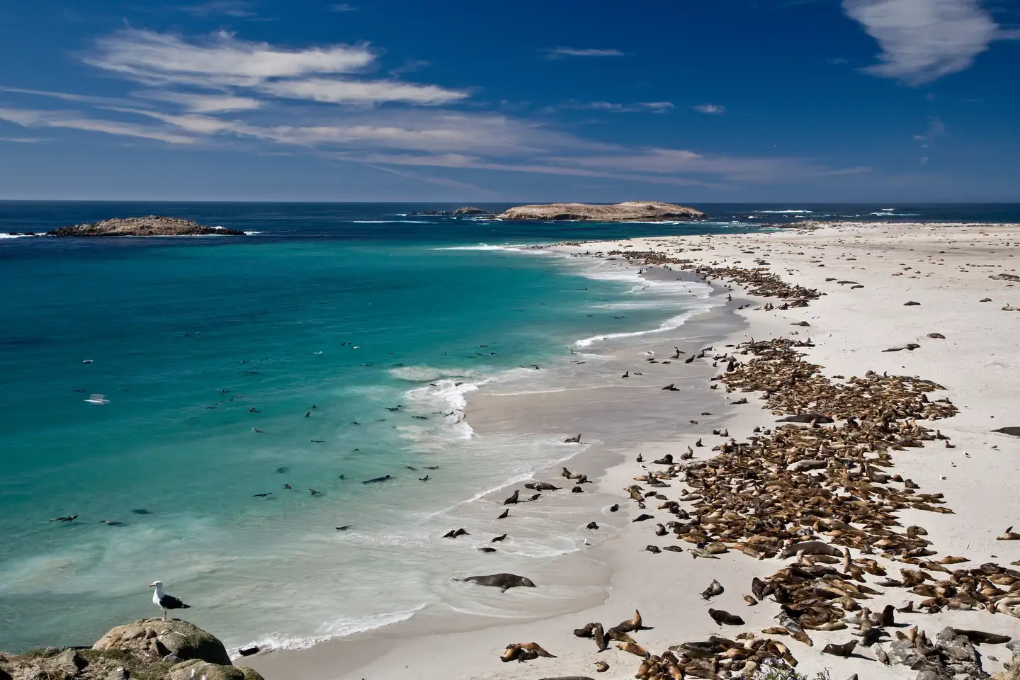 San Miguel Island