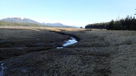 cabin channel low tide
