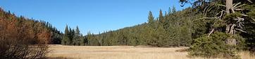 Goose Meadows