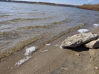 Curtis Creek Loop C Beach