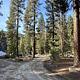 Long dirt road through campground