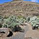 Path leading to walk-to campsite 1