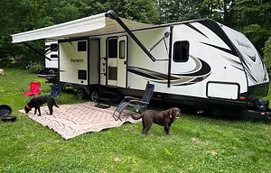 Extended Season Ready! kiddos and fidos friendly