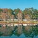 Wide lakeside view showing RVs parked along the far shore with trees and reflective water — clear aerial/overview of the campground grounds (homepage hero image: shadylake-rvpark.com).
