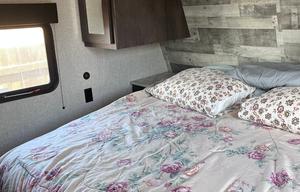 Pet friendly 2021 lantern