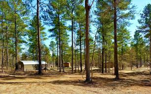 Kick it Back Cabins and RV Park