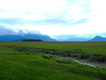 Green grassflats with mountains and clouds
