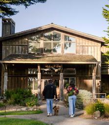 Costanoa