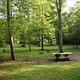 View of campground, tables and grills