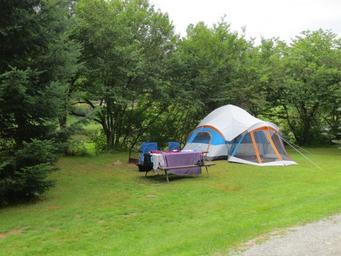 Tent campsite on a grassy, treed site with picnic table and fire ring — representative image of tent camping options on the campground (from 'ways to stay' page images).