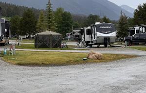 2022 Keystone RV Cougar Half-Ton 34TSB