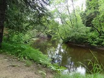 CARP RIVER CAMPGROUND5