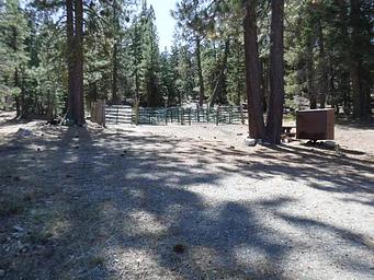 Shared Corral 