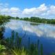 Panoramic lakeside view showing water, vegetation and distant campground shoreline — appears on the 'Amenities' page and complements scenic lakeside presentation.