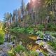 South Umpqua River at Boulder Creek Campground 2