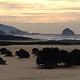 Wind swept trees on flat beach with fog bank over coastal hills in background.