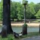 Foreground ducks with lake and shoreline in background, plus a birdhouse on a post — charming on-site wildlife and shoreline detail that supports the park’s lakefront character.