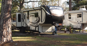 Big Tree RV Park
