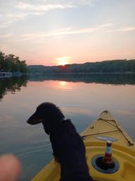 Photograph from a kayak showing the water, shoreline and sunset with a dog in the bow — strong scenic image illustrating on-site boating and lake recreation (comes from homepage/gallery content).